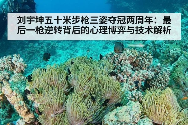 刘宇坤五十米步枪三姿夺冠两周年：最后一枪逆转背后的心理博弈与技术解析